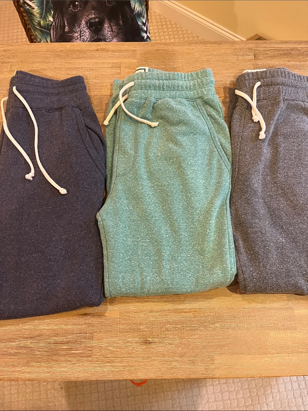 Roots Of Fight Sweatpants Bundle